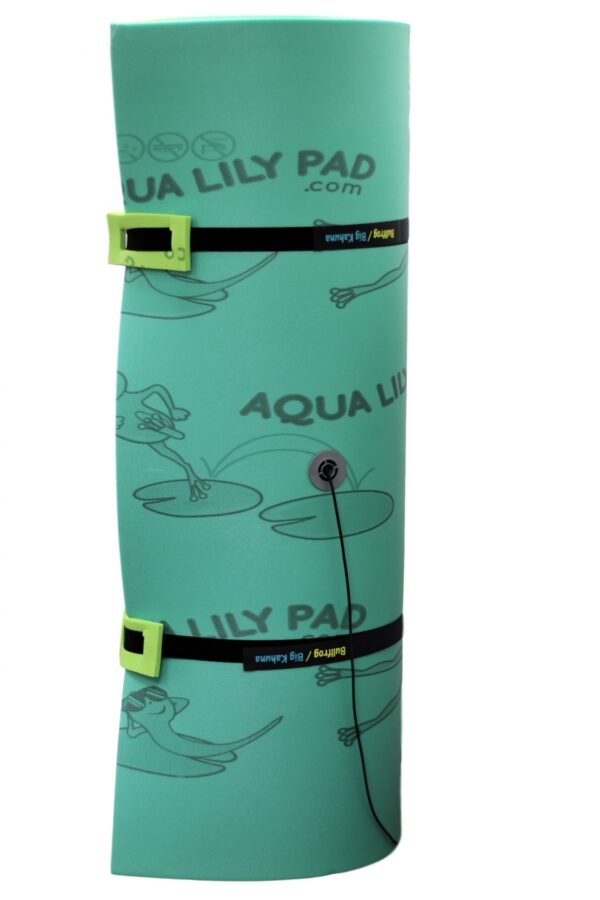Bullfrog Lily Pad