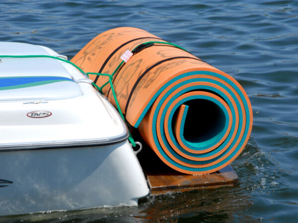 2 Straps with Pad Protectors - Image 3